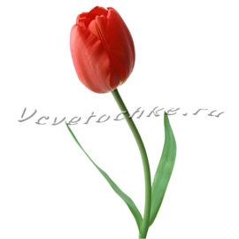 доставка цветов Москва, цветы Москва, купить цветы в Москве, цветы недорого Москва, заказать цветы Москва, цветы, Москва, доставка, букет, тюльпаны, красный тюльпаны, поштучно, тюльпаны поштучно